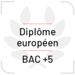 Logo BAC +5